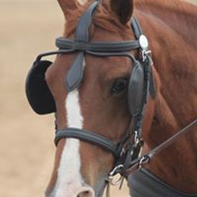 Colorado Driving Society