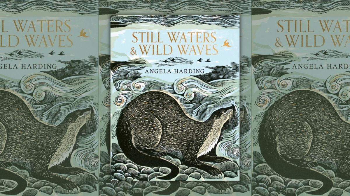 Angela Harding: Still Waters & Wild Waves