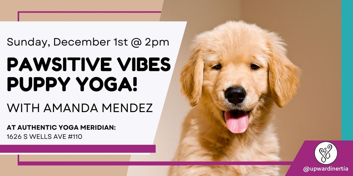 Pawsitive Vibes: Puppy Yoga at Authentic Yoga Meridian