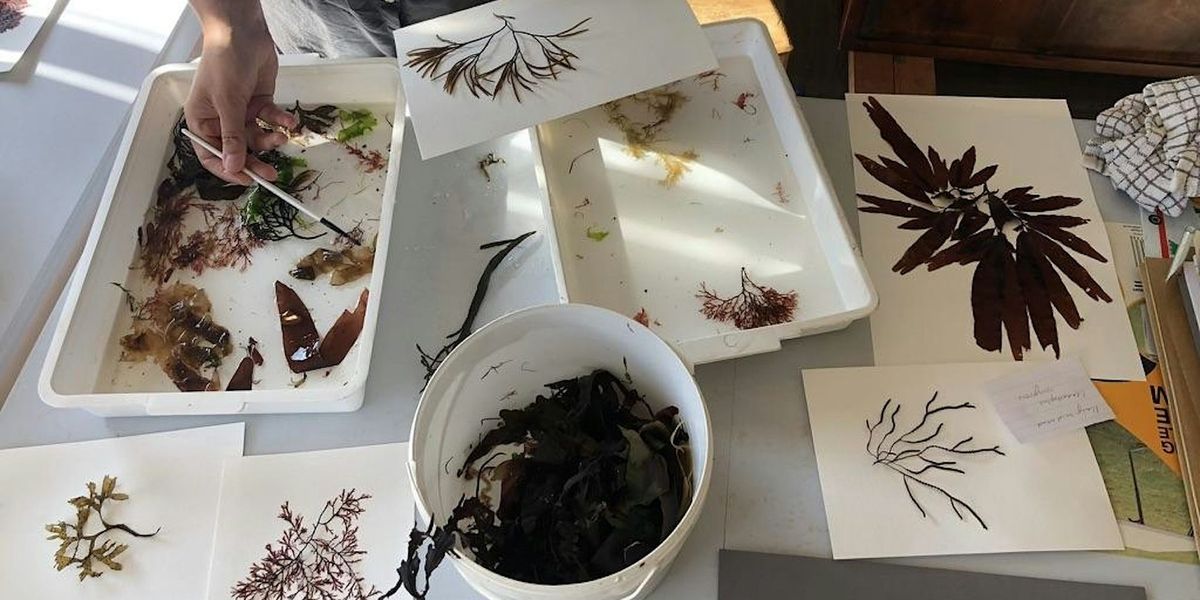 EXTRA DATE!! Seaweed Pressing Workshop