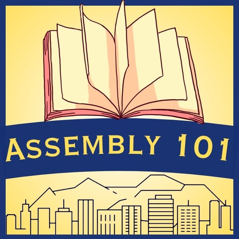 Assembly 101 - #Civics Academy 