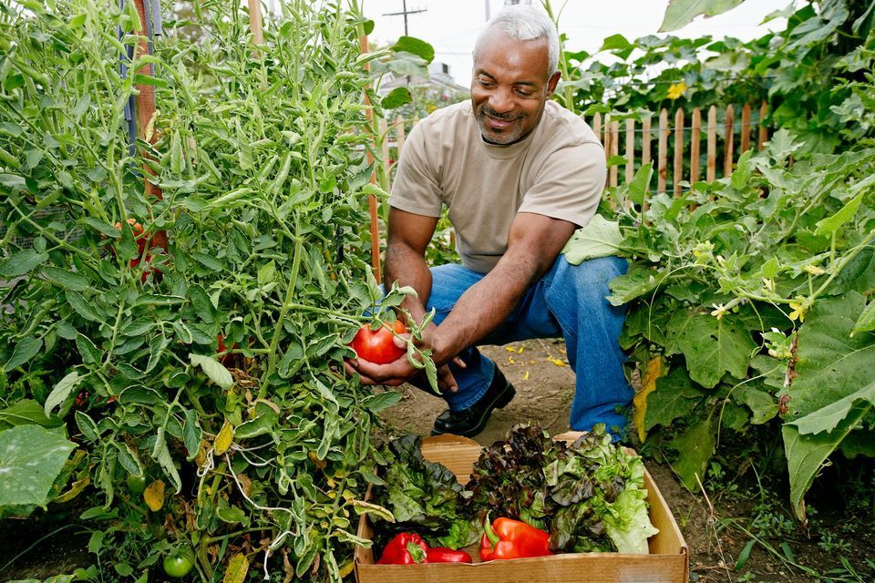 Garden Class: Vegetable Gardening