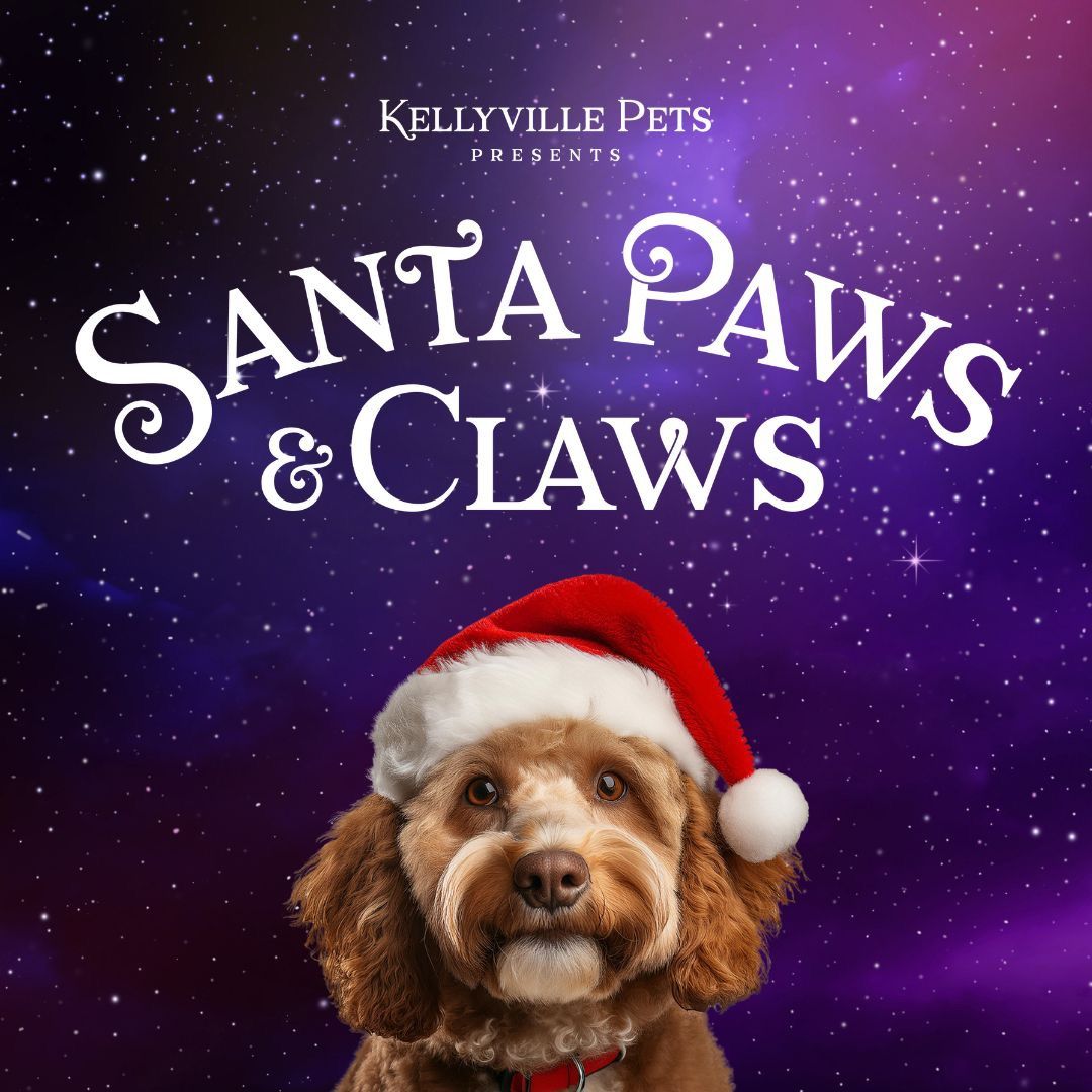 Santa Paws & Claws \ud83c\udf85\ud83c\udffc\ud83d\udc3e\ud83c\udf84