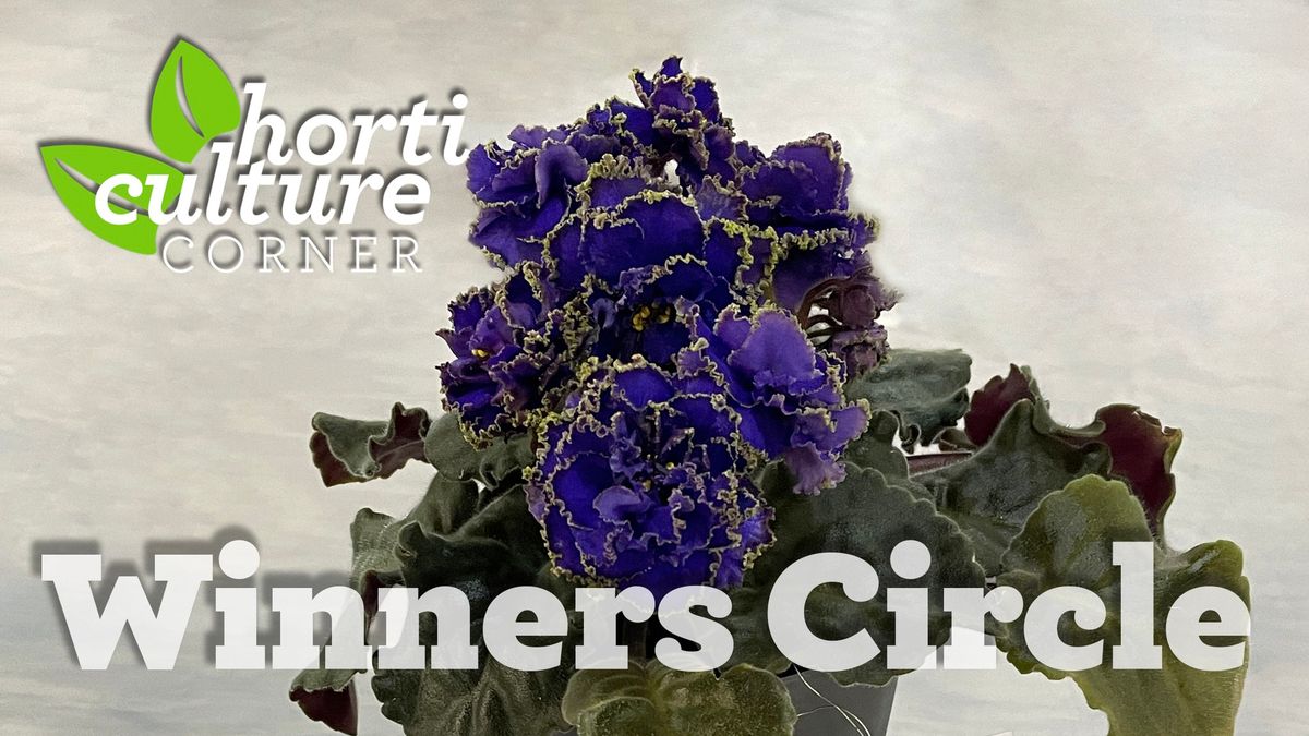 Horticulture Corner: Winners Circle