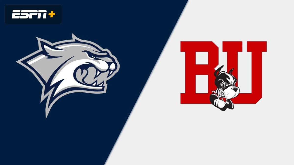 Stony Brook Seawolves at Liberty Flames Mens Hockey
