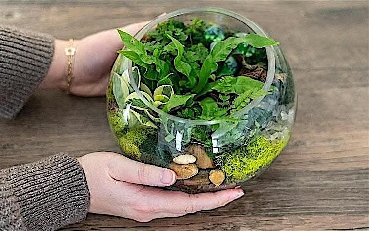Make-n-Take : Terrariums at Mahoney's Tewksbury