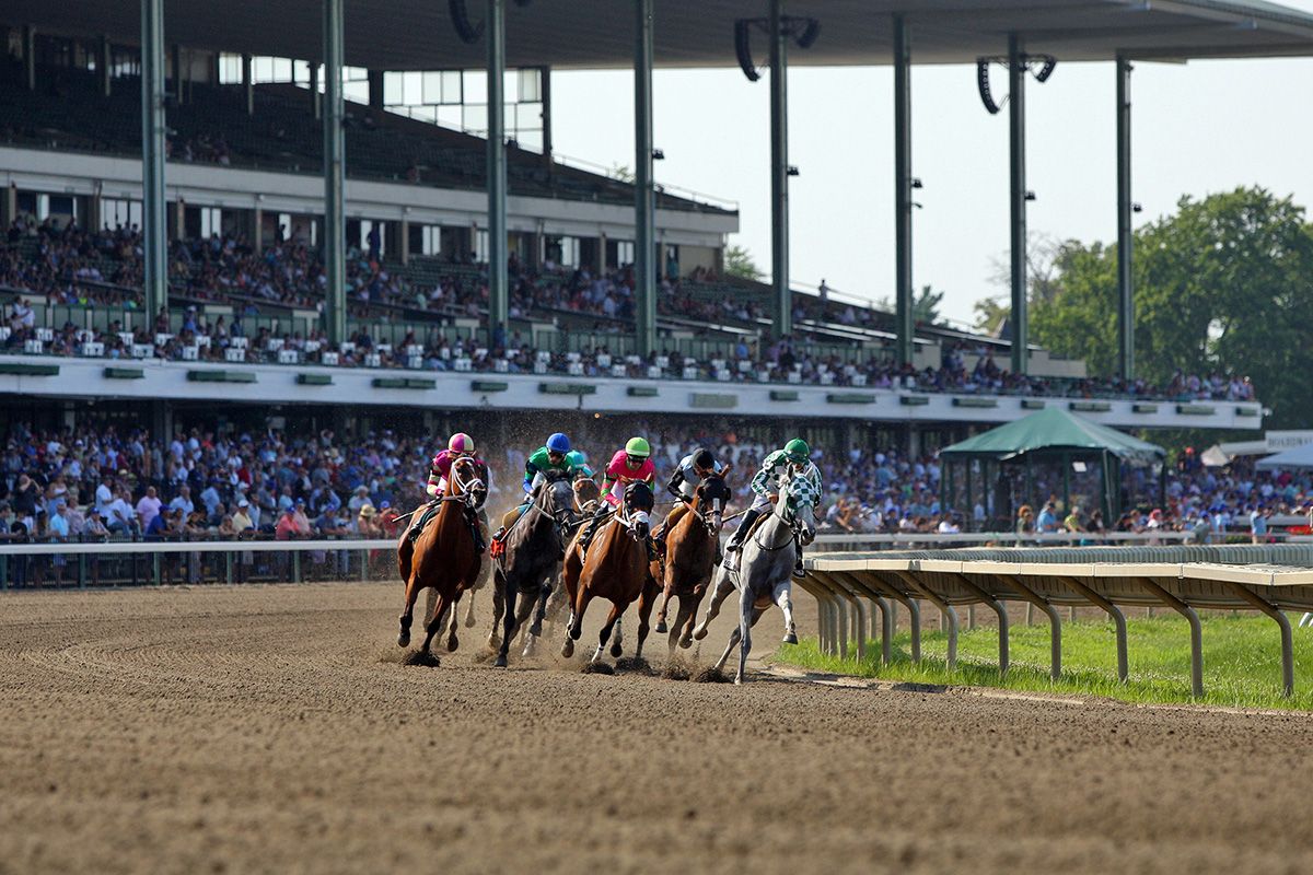 NJ Thoroughbred Festival & Giveaway!