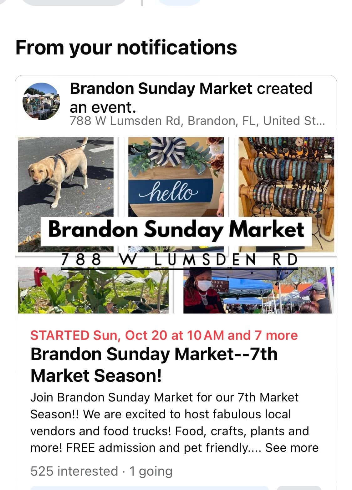 Brandon Sunday Market--7th Market Season!