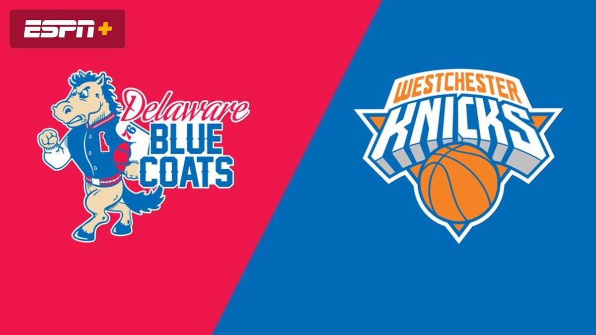 Delaware Blue Coats at Westchester Knicks