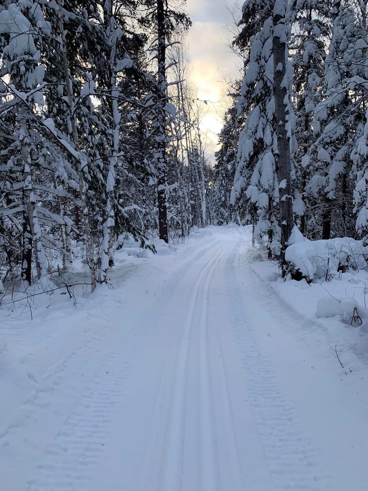 Night Lights Cross Country Ski 