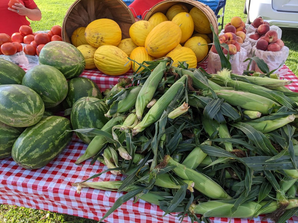 Just Jeff returns to Doylestown Farmers Market!