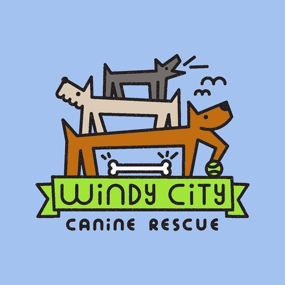 Windy City Canine Rescue Adoptable Dog Meet & Greet!