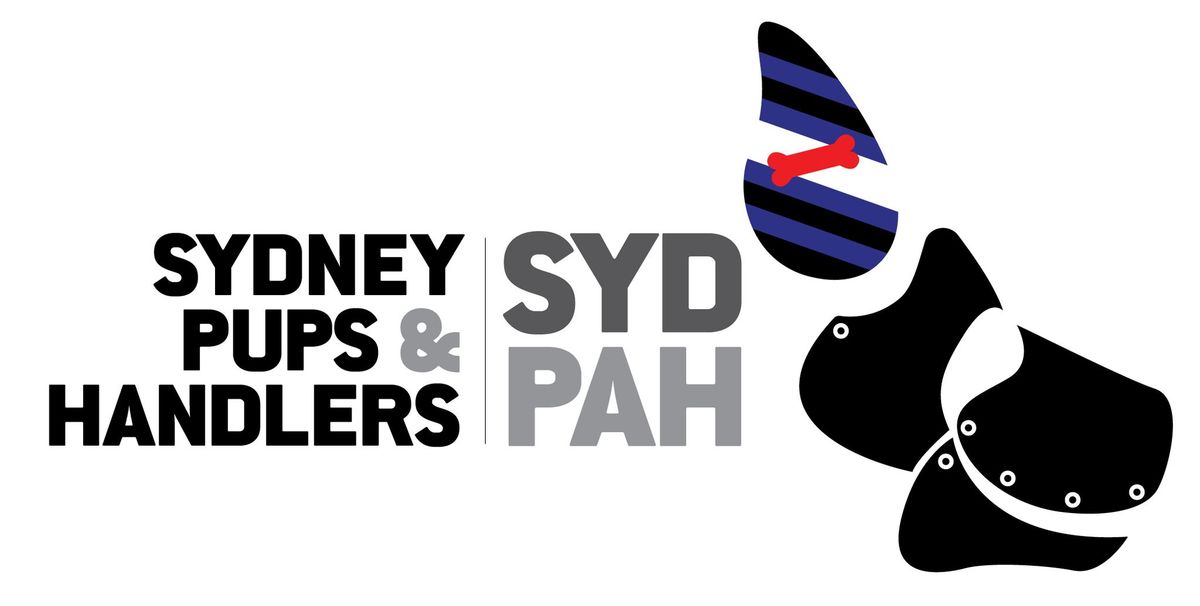 SYD-PAH Picnic & Pub Munch