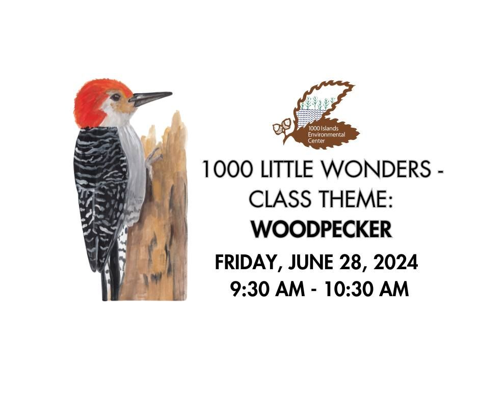 1000 Little Wonders - Class Theme: Woodpecker