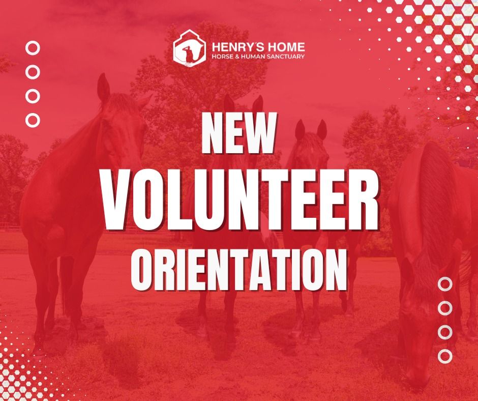 NEW Volunteer Orientation 