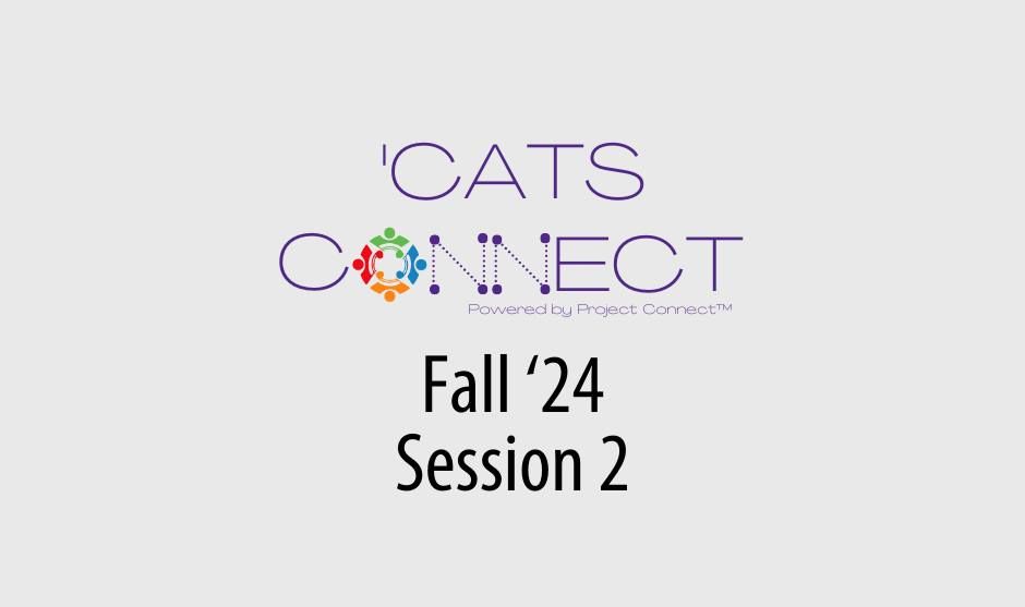 'Cats Connect Session 2