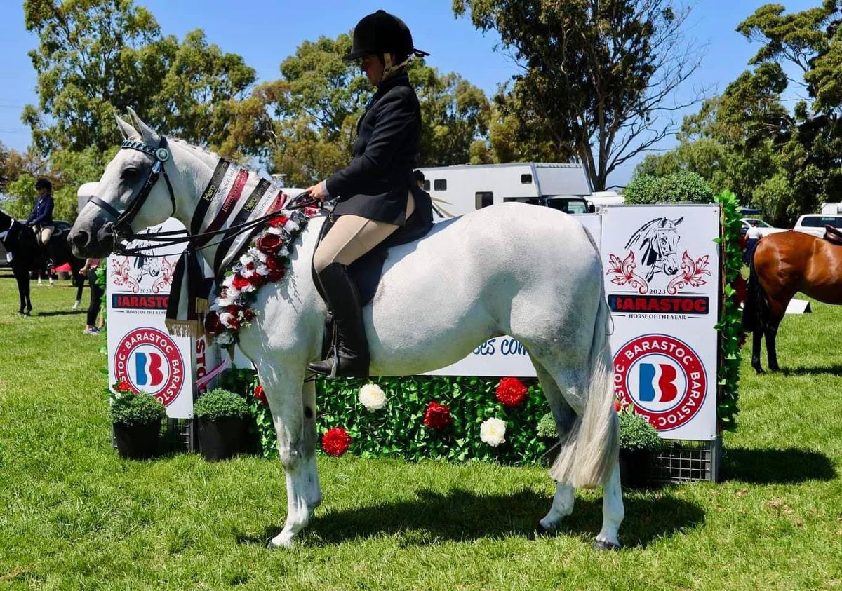 HRV Hero & SPPHAV Standardbred ring @ Barastoc HOTY 2025