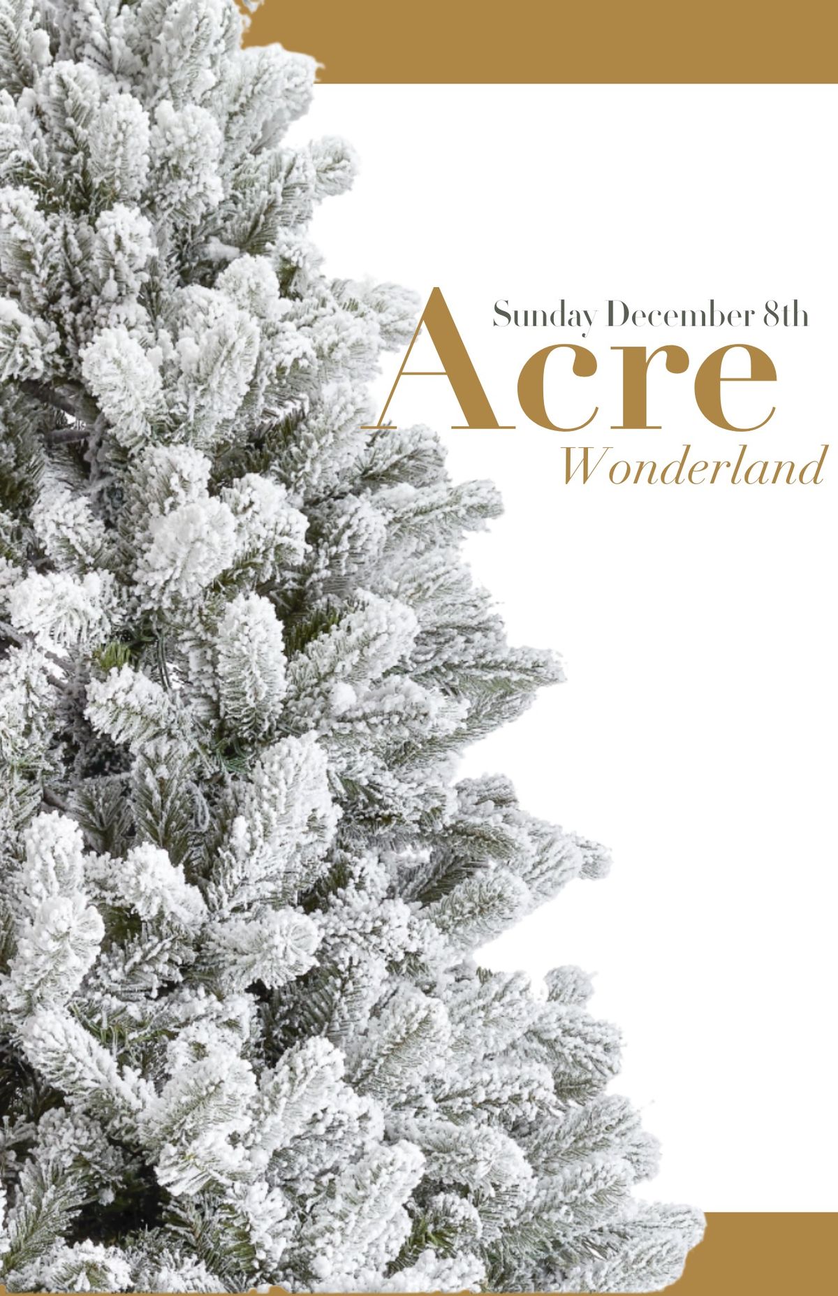 Acre Wonderland Pass