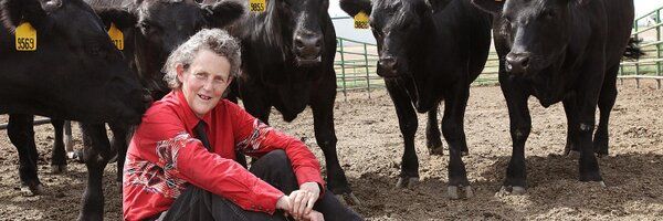 The Grandin Papers - LIVE and In-Person with Dr. Temple Grandin - Columbia, MO 