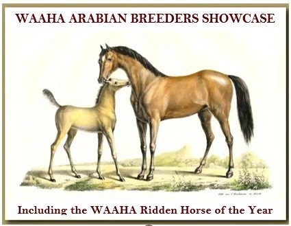 2025 WAAHA Breeders Showcase & Ridden Horse of the Year