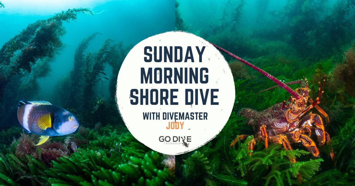 Sunday Morning Shore Dive, Blackmans Bay North - With Divemaster Jody