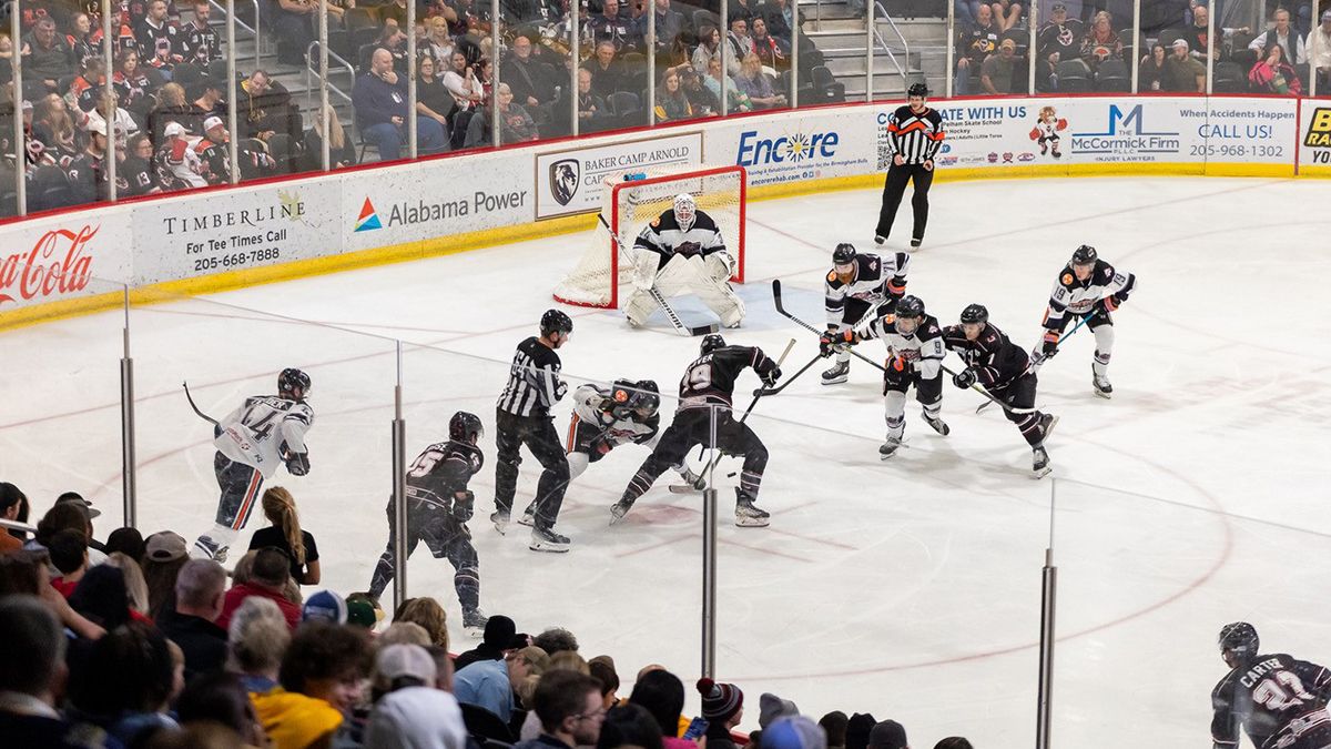 Pensacola Ice Flyers at Birmingham Bulls at Pelham Civic Complex