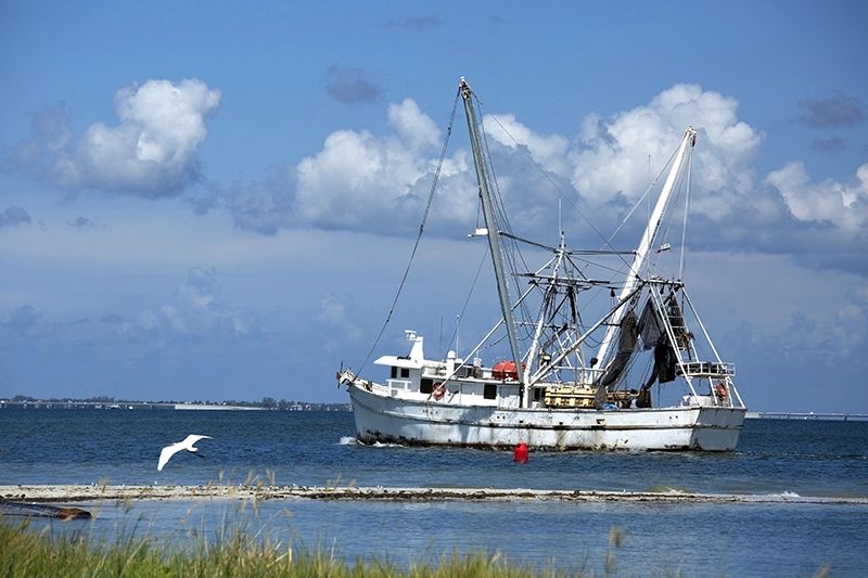 Biloxi, Mississippi - Fishing Vessel Drill Conductor Course