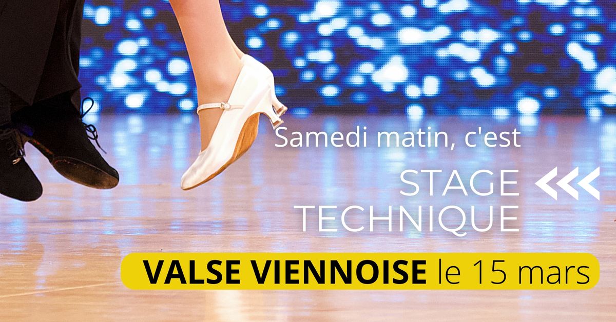 Stage de VALSE VIENNOISE