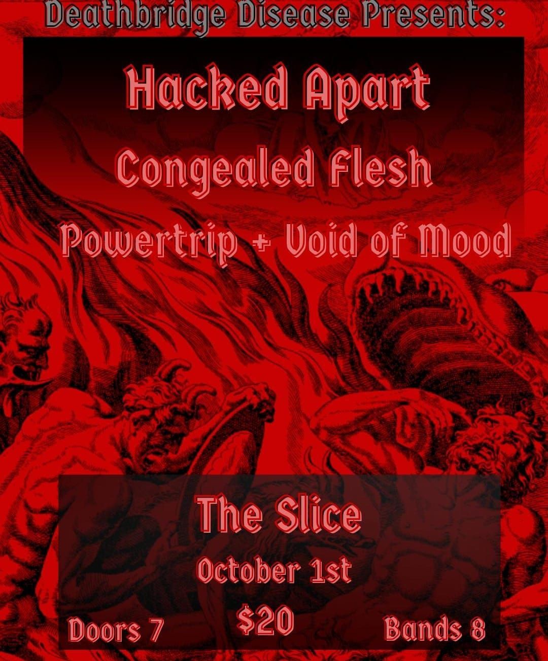 Deathbridge Disease presents Void of Mood,  Hacked Apart,  PowerTrip, and Congealed Flesh 