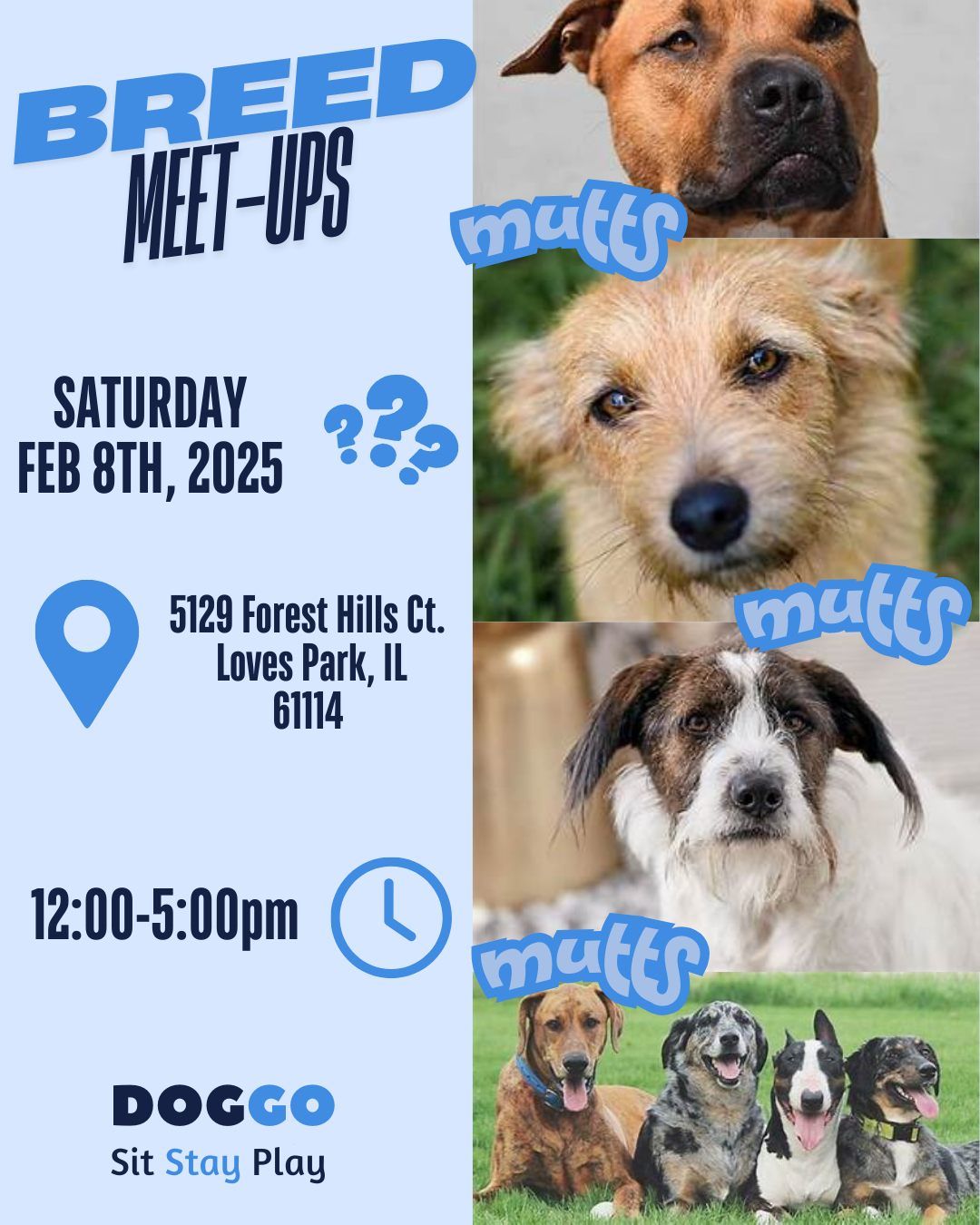 Breed Meet Up: Mutt Mixes!! 