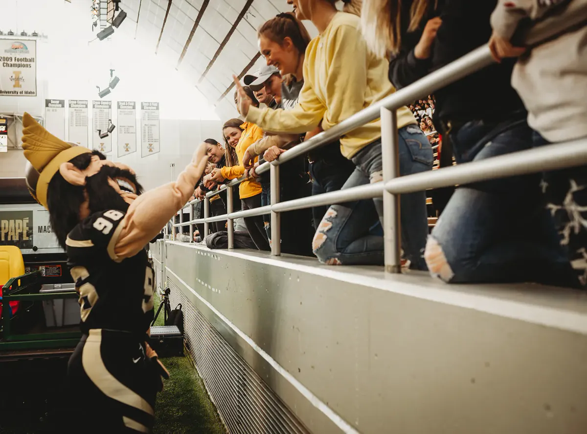 Idaho Vandals at Washington State Cougars Football