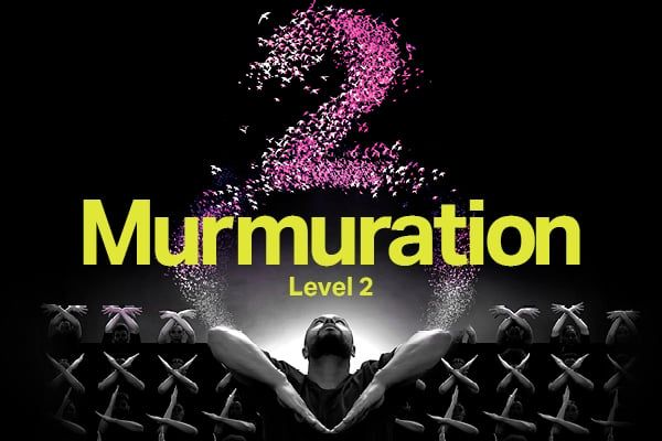 Murmuration Level 2