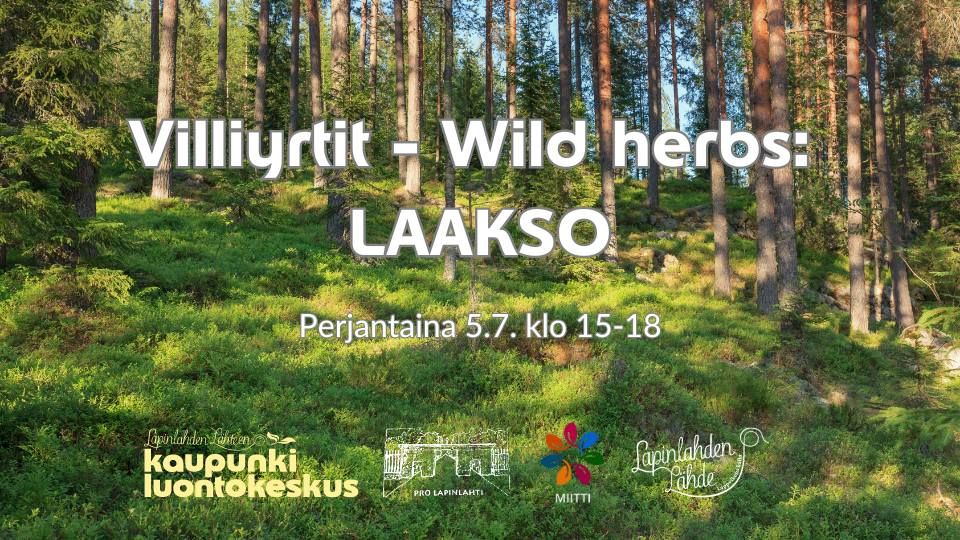 Villiyrtit - Wild herbs: LAAKSO