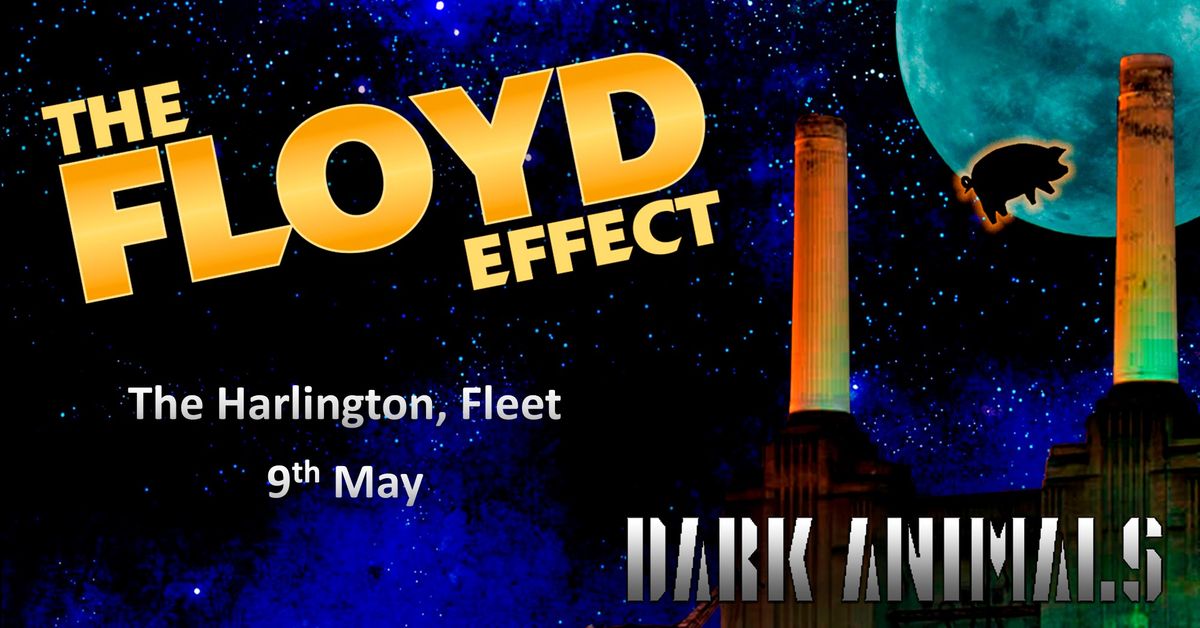 The Floyd Effect - The Pink Floyd Show - at The Harlington, Fleet