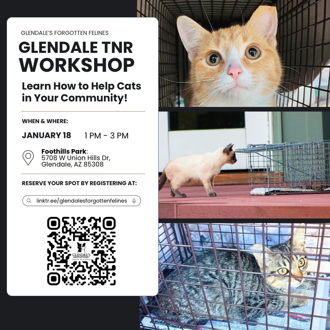 FREE Trap-Neuter-Return Workshop