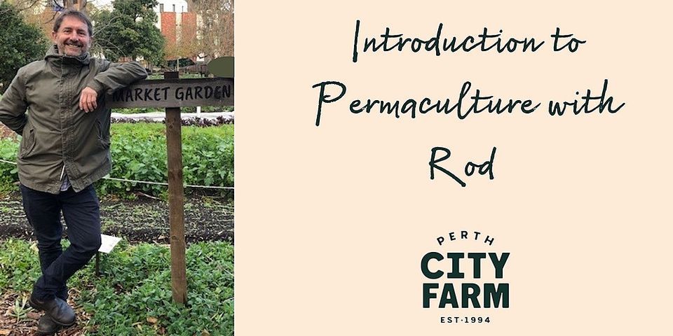 Introduction to Permaculture with Rod (half day) (SOLD OUT)