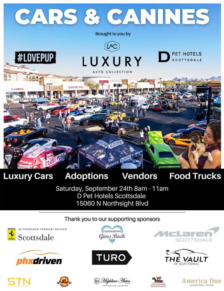 Cars and Canines: Luxury Cars & Dog Adoptions