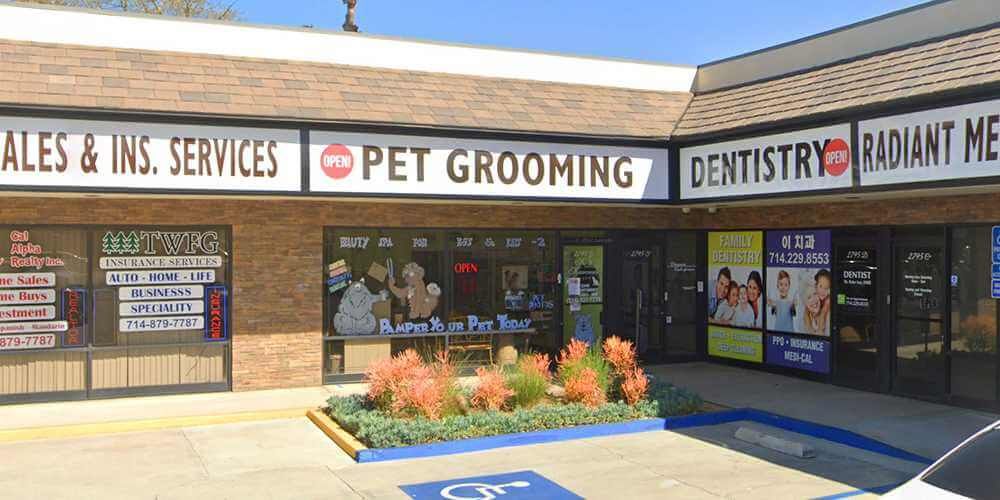 Anaheim - Dog dental cleaning