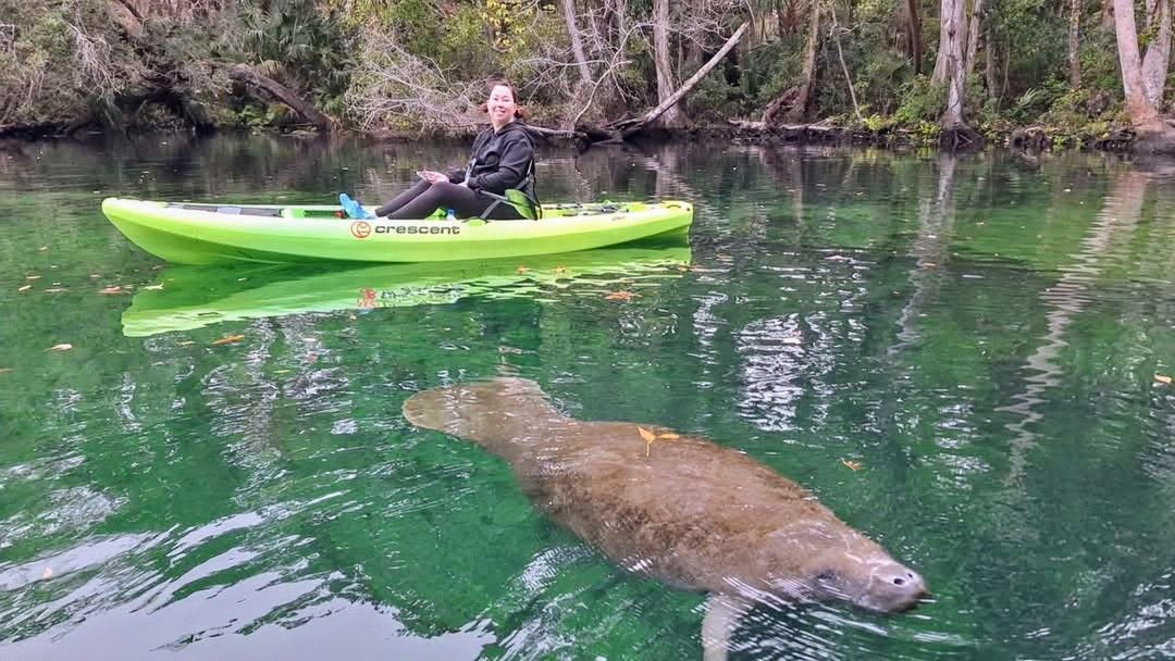 Manatee Observation Kayaking Tour Chassahowitzka River