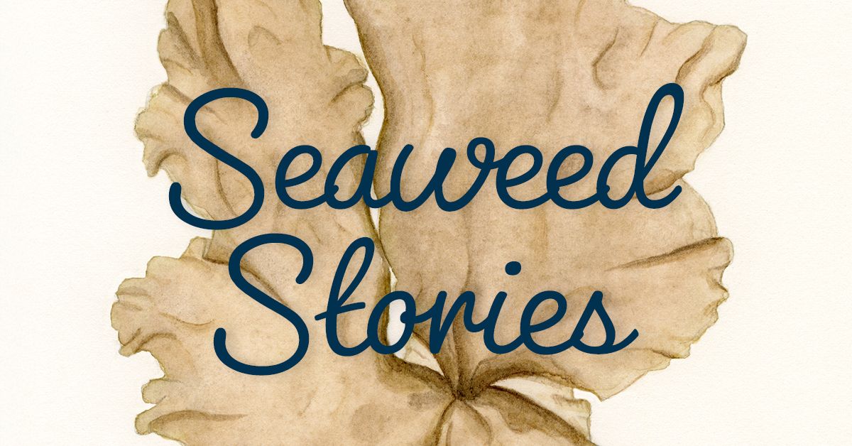 Vernissage - Seaweed Stories