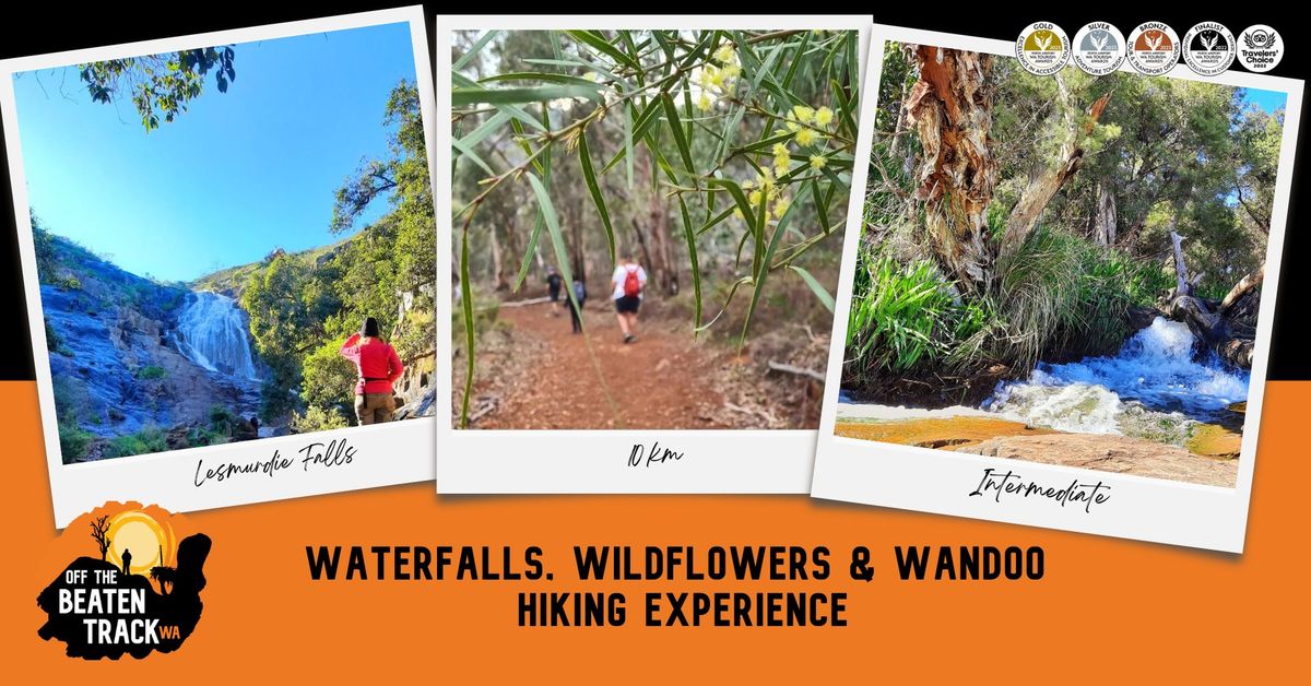 Waterfalls, Wildflowers & Wandoo | Hiking Experience