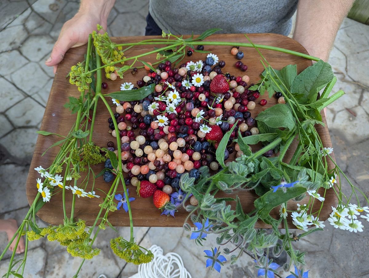 Food Forest Gardening 101: Introduction to Design & Principles @ COT Library