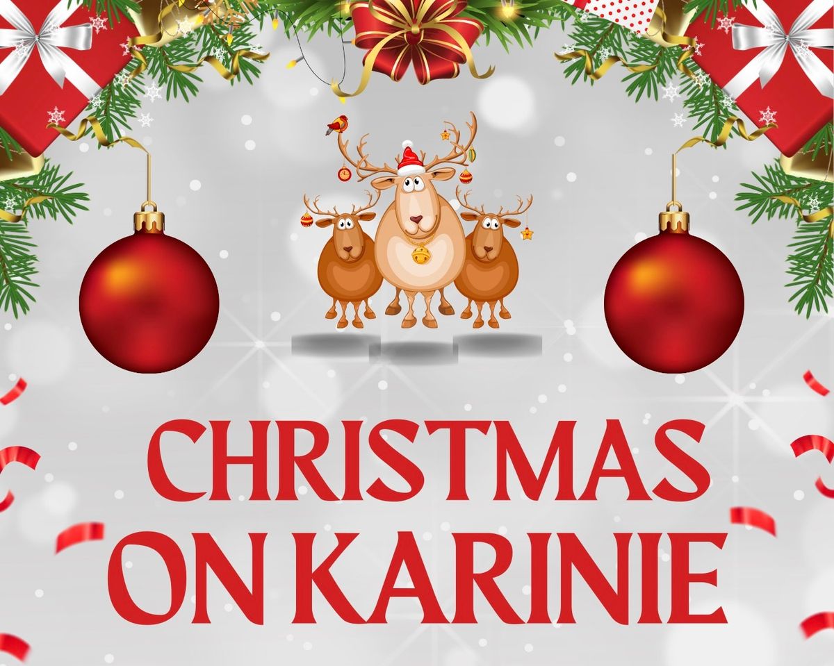 Christmas on Karinie 24