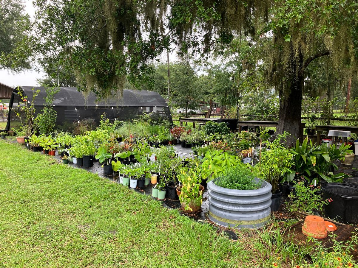 PLANT SALE 2025- UF\/IFAS Extension Clay County Master Gardener Volunteers