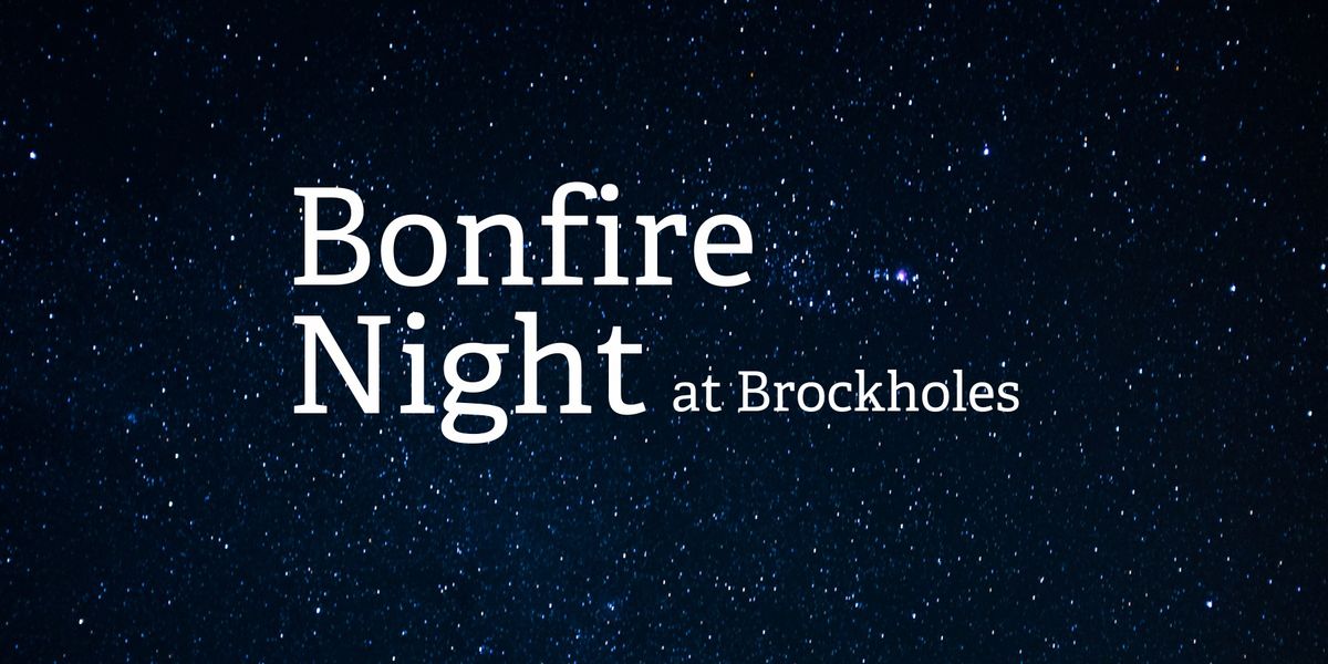 Wildlife Friendly Bonfire Night at Brockholes (No Fireworks)