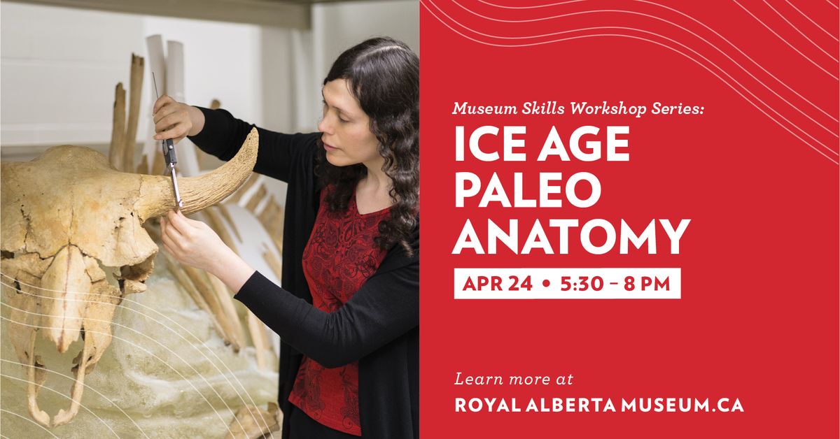 Museum Skills Workshops: Ice Age Palaeo Anatomy