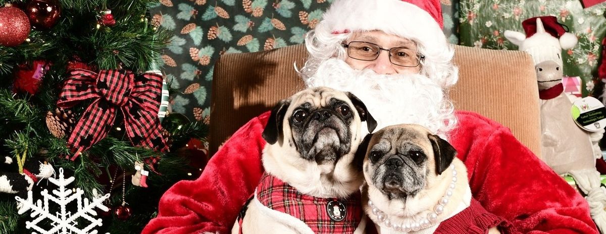 Paws and Claus: Pet Photoshoot with Santa