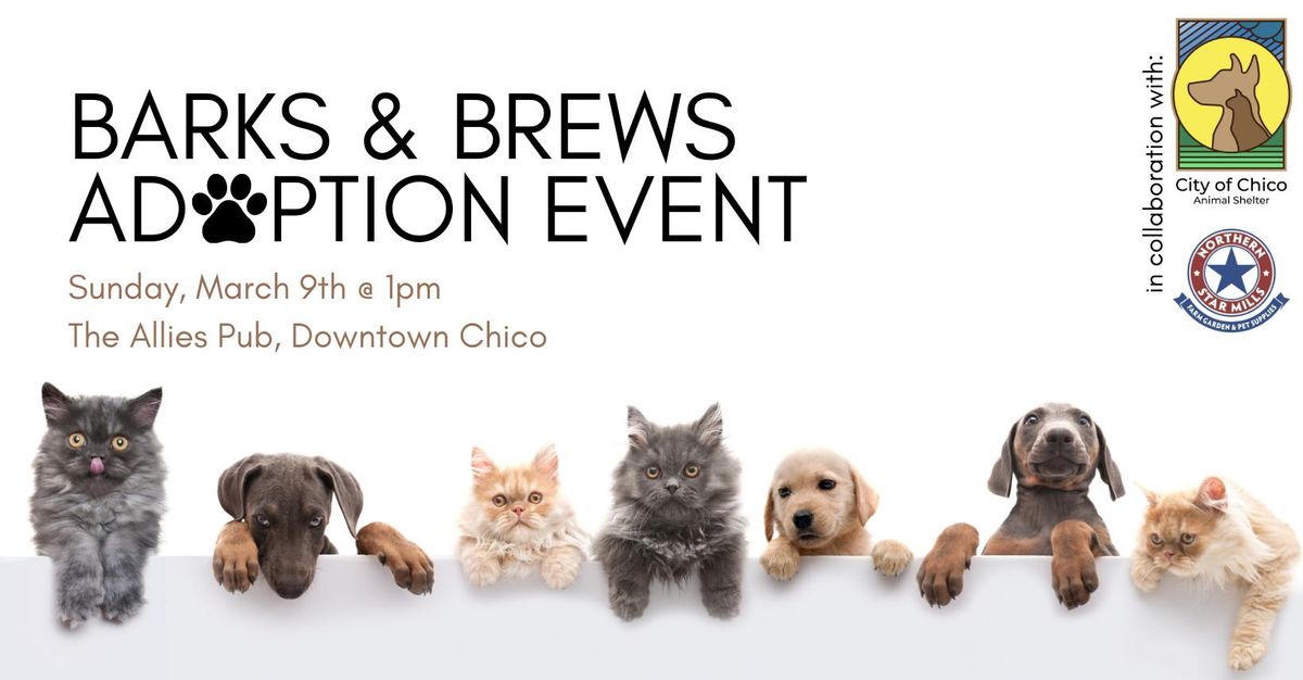 Barks & Brews Adoption Event at The Allies Pub