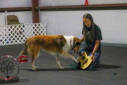 AKC Trick Dog Title Class