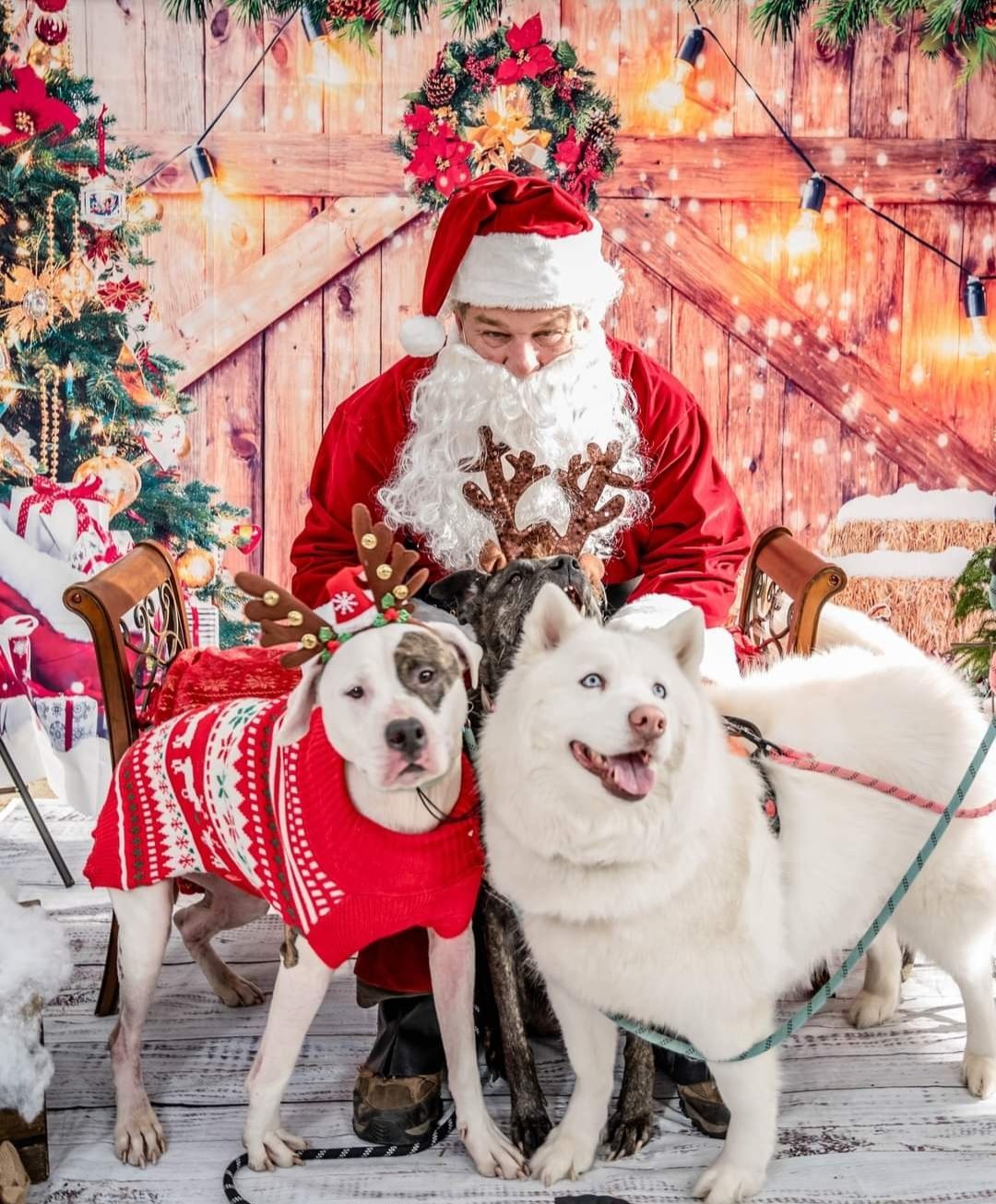 Pics with Santa